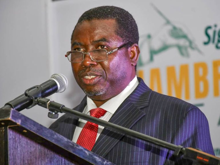 INEC Registers Two New Parties, Insists On Internal Democracy –