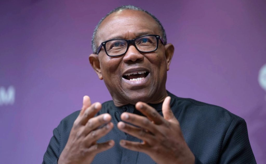 2027: ‘Our votes must count' - Peter Obi warns